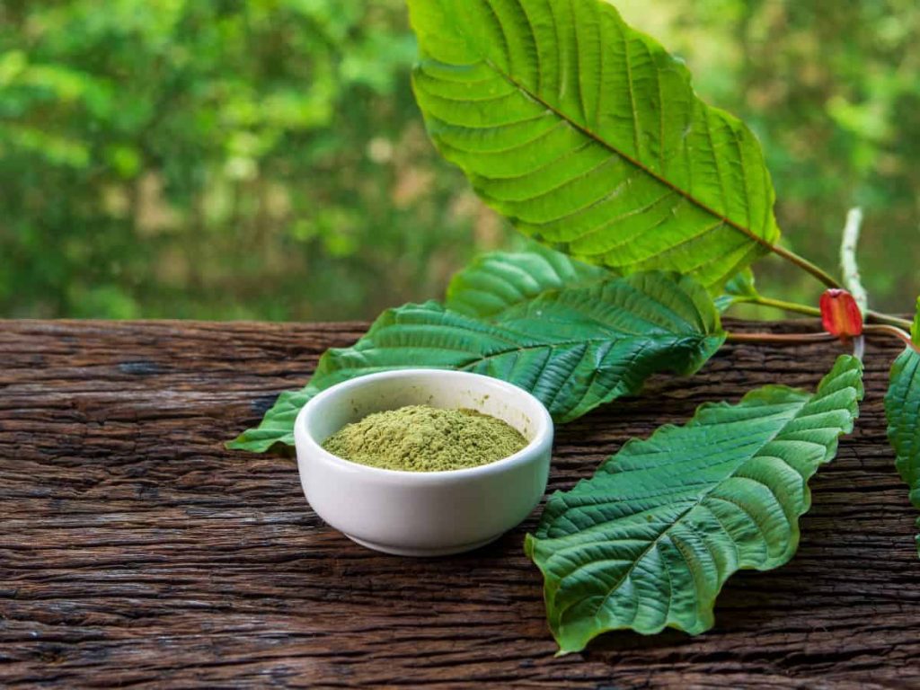 How Long Does Kratom Stay In Your System concept
