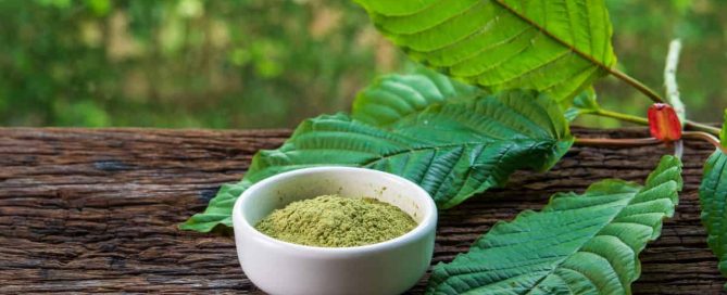 How Long Does Kratom Stay In Your System concept