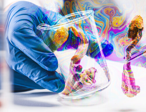 Does Psychedelic Medicine Make Sense in Addiction Treatment?